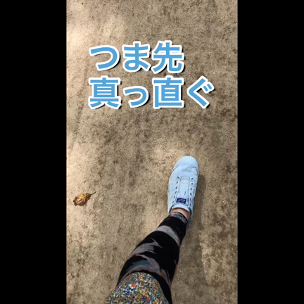ウォーキング日和、でもちょっと待った！の記事動画