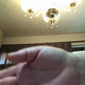 コロナウイルスを正しく恐れる。の画像
