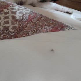 めちゃくちゃ可愛い盗撮に成功致しました(•ө•)♡の画像