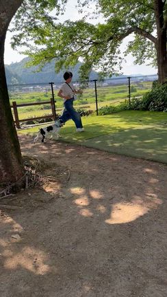走行距離350キロ！愛犬を連れて車で黒部へ移住の記事動画