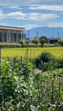 【富山移住】青空が広がる黒部の夏！山も海も満喫の記事動画