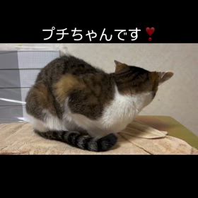 2024/05/08の画像