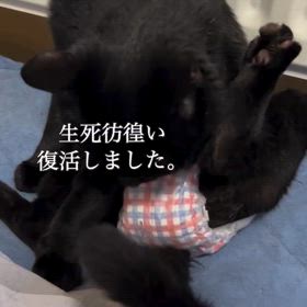 2024/05/31の画像