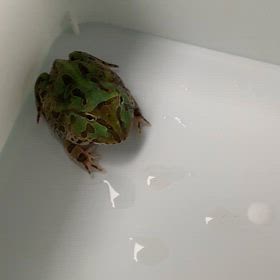 少しお休みしますねの画像