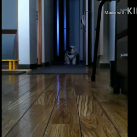 ラッキー！なぁに～っ？の画像