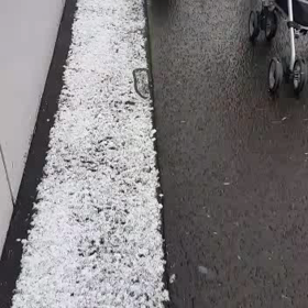 寒いです(>o<)の画像