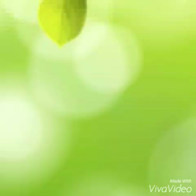 キョロキョロの画像
