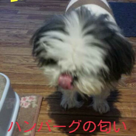 大好きハンバーグの画像