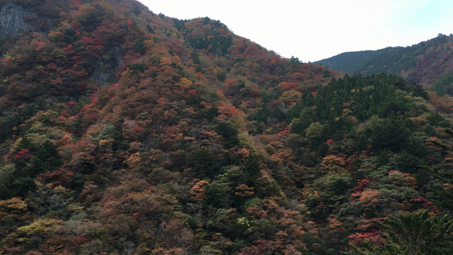 癒しの場所、徳島の記事動画