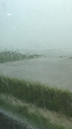 台風がやってくる パート2の記事動画
