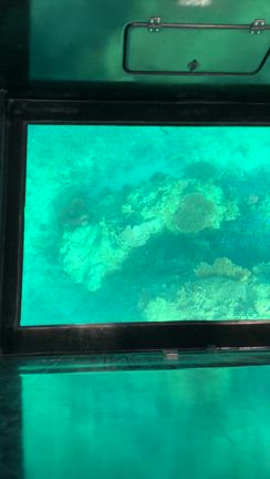 5月の竹富島＆石垣島の旅⑨「川平湾編」の記事動画