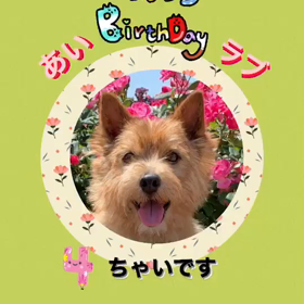 友達からの誕生日プレートの画像