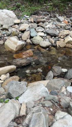 グラウンディング２０２５夏の記事動画