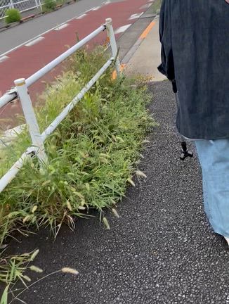 夫と歩くの記事動画