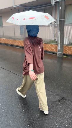 マックまで夫と散歩の記事動画