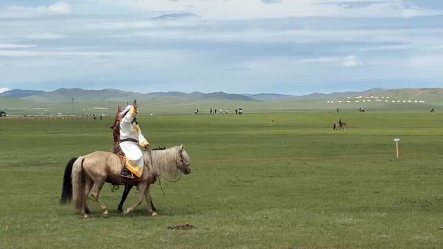 足をつけての歩行訓練　そして友人からモンゴルの旅の写真が届きましたの記事動画