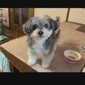 ぷうたさんからのプレゼントの画像