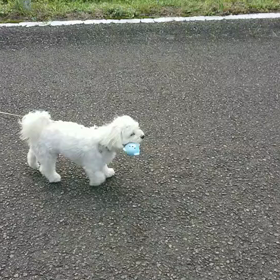 田舎です。の画像