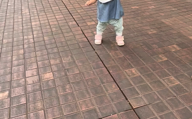 動物園へ行きましたの記事動画