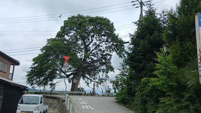 丹波篠山で野点の記事動画