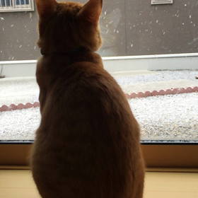 晴れのち雪⛄の画像
