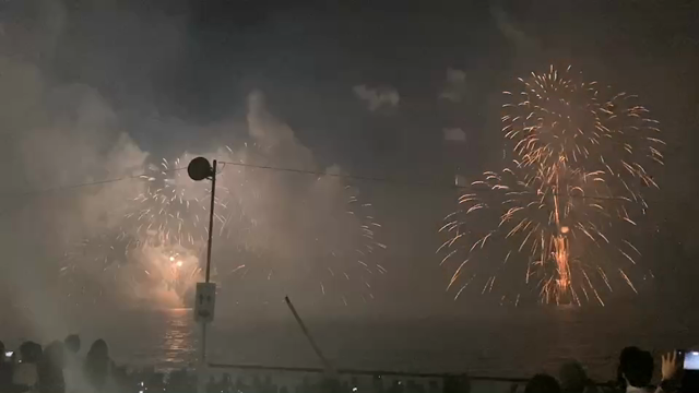 白イカの記事動画