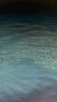 白いかの記事動画
