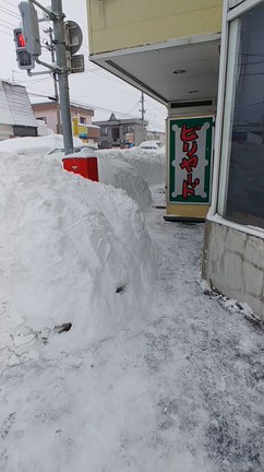 雪の記事動画