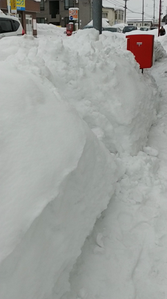 雪の記事動画
