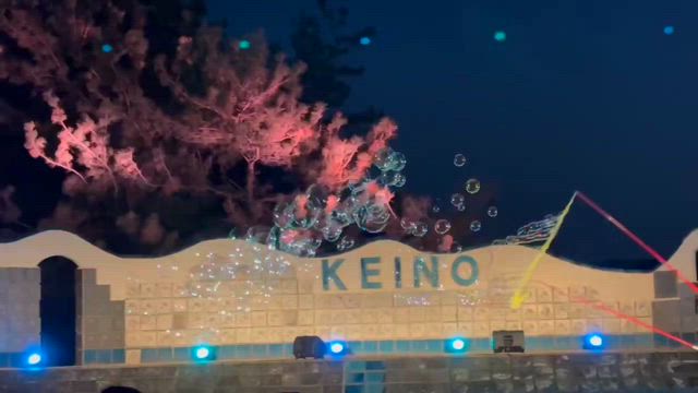 夕方マーケット楽しすぎたの記事動画