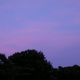 暑中お見舞い申し上げますの画像