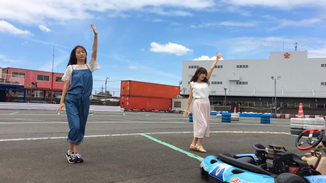 再会とヤモリの記事動画