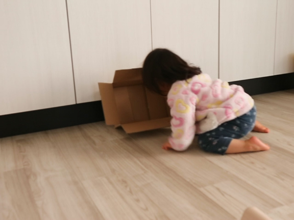 無茶な冒険の記事動画