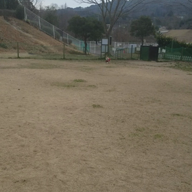 ドッグラン。の画像