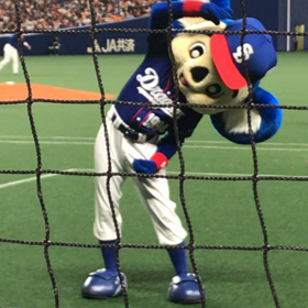 昨日のドアラさんの画像