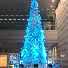 メリー☆クリスマス！の画像
