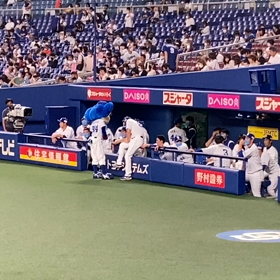 明日の先発は大野雄大投手の画像