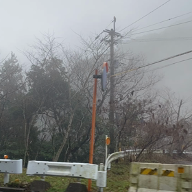 2024・ 1・20   福岡へ(霧雨)の画像