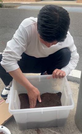 カブトムシ❓の幼虫がの記事動画