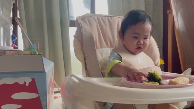 ☆生後9か月の記録☆の記事動画