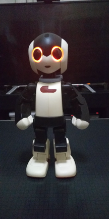 ロボットだって人間だの記事動画