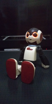 ロボットだって人間だの記事動画