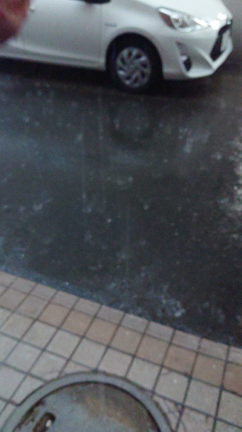 ゲリラ豪雨の記事動画
