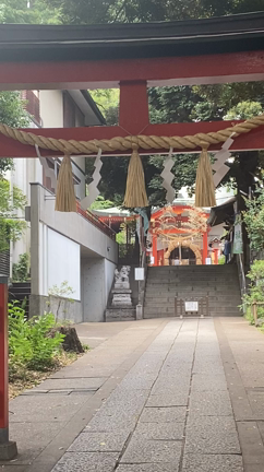 芦屋マダムの記事動画
