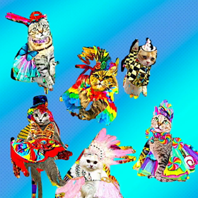 ネコのカーニバル7☆ニャンバ❣️サンバ❣️のサムネイル画像