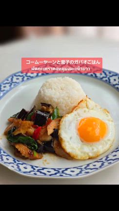 コームーヤーンと茄子のガパオごはんの記事動画