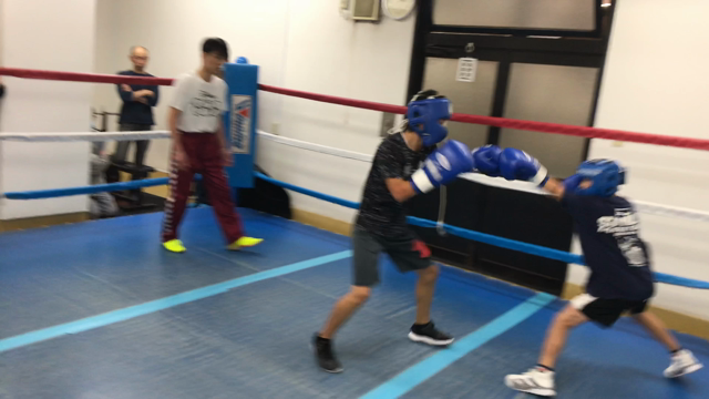 11/1の様子の記事動画