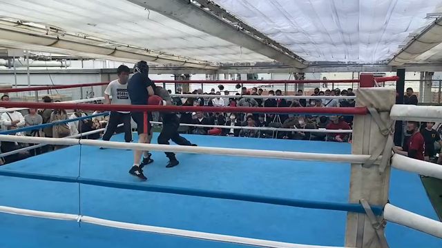 三谷ジムスパー主催スパー大会の様子の記事動画