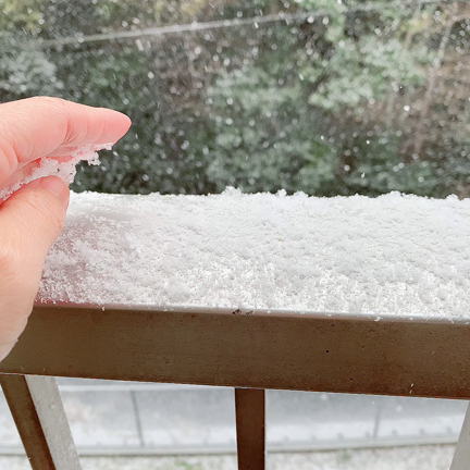 今までにない行動の記事動画