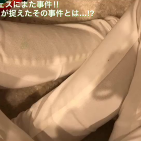 事件の画像